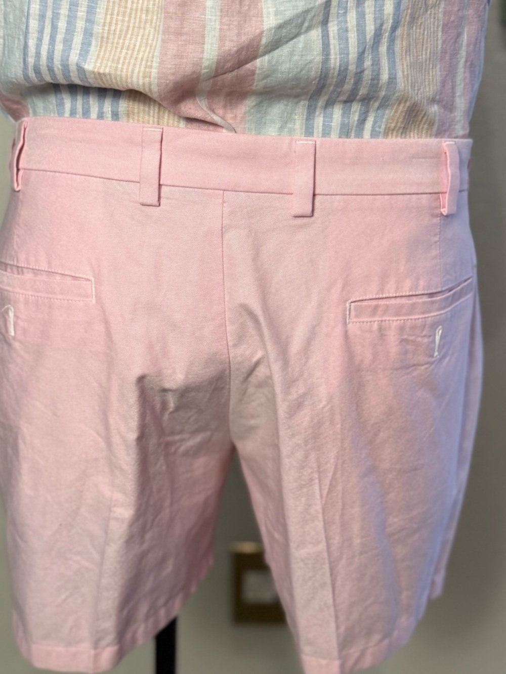 Brooks Brothers Pink Flat-Front Oxford Cloth Cotton Shorts - Picture 4 of 5